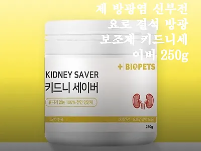 고양이 신장 영양제 키드니세이버 25 관련 이미지